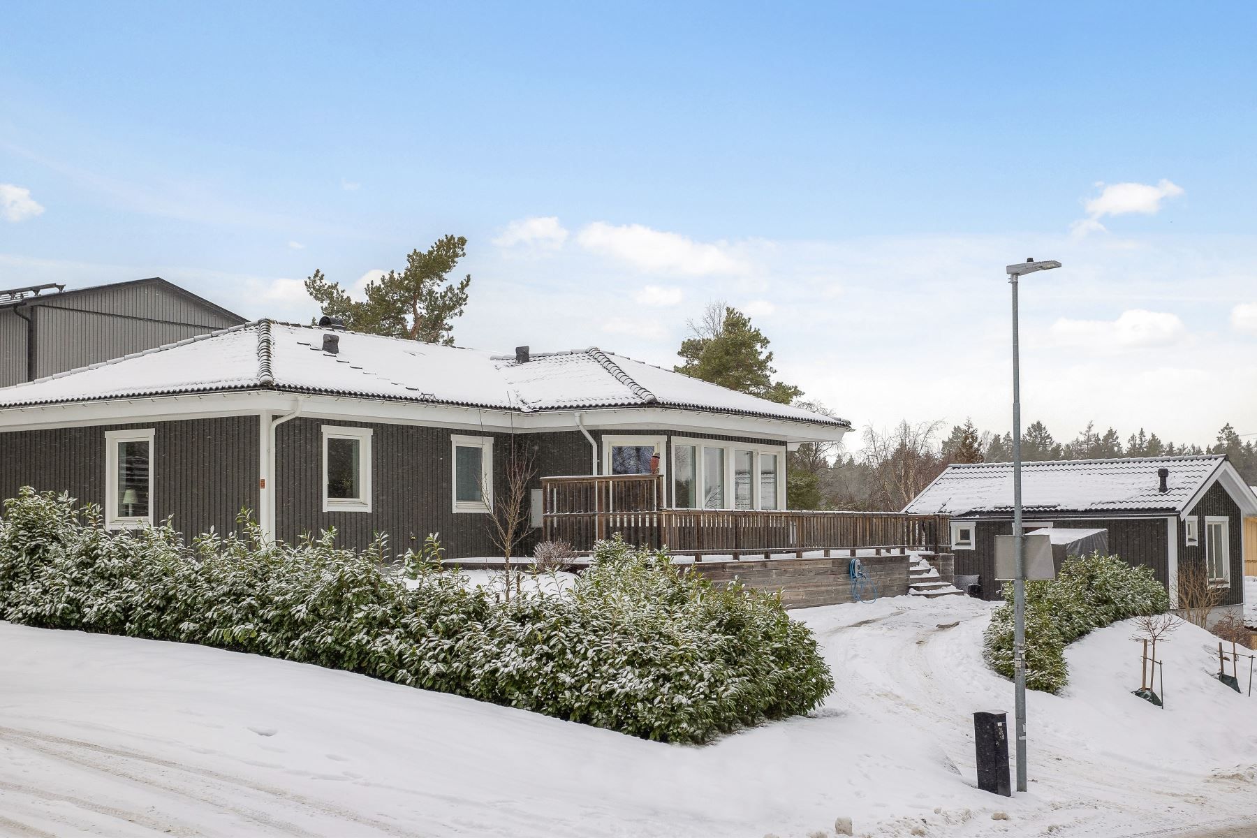 Exteriör