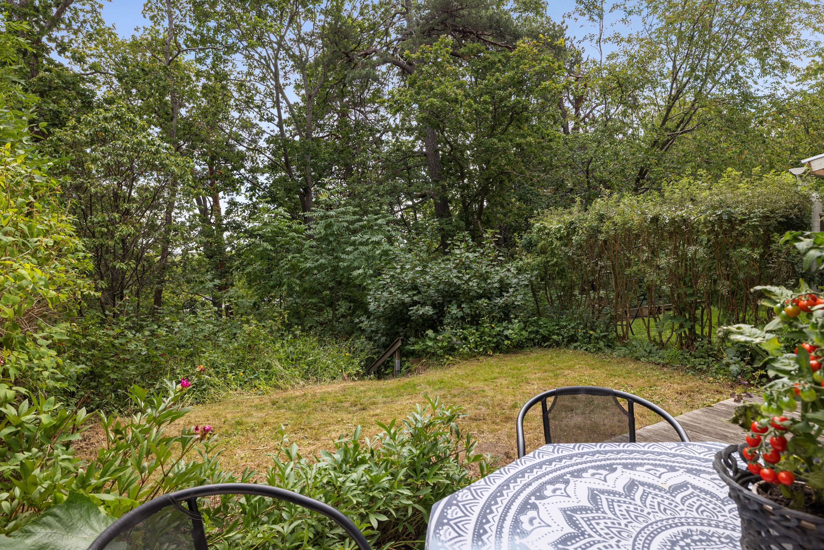 Trädgårdens baksida