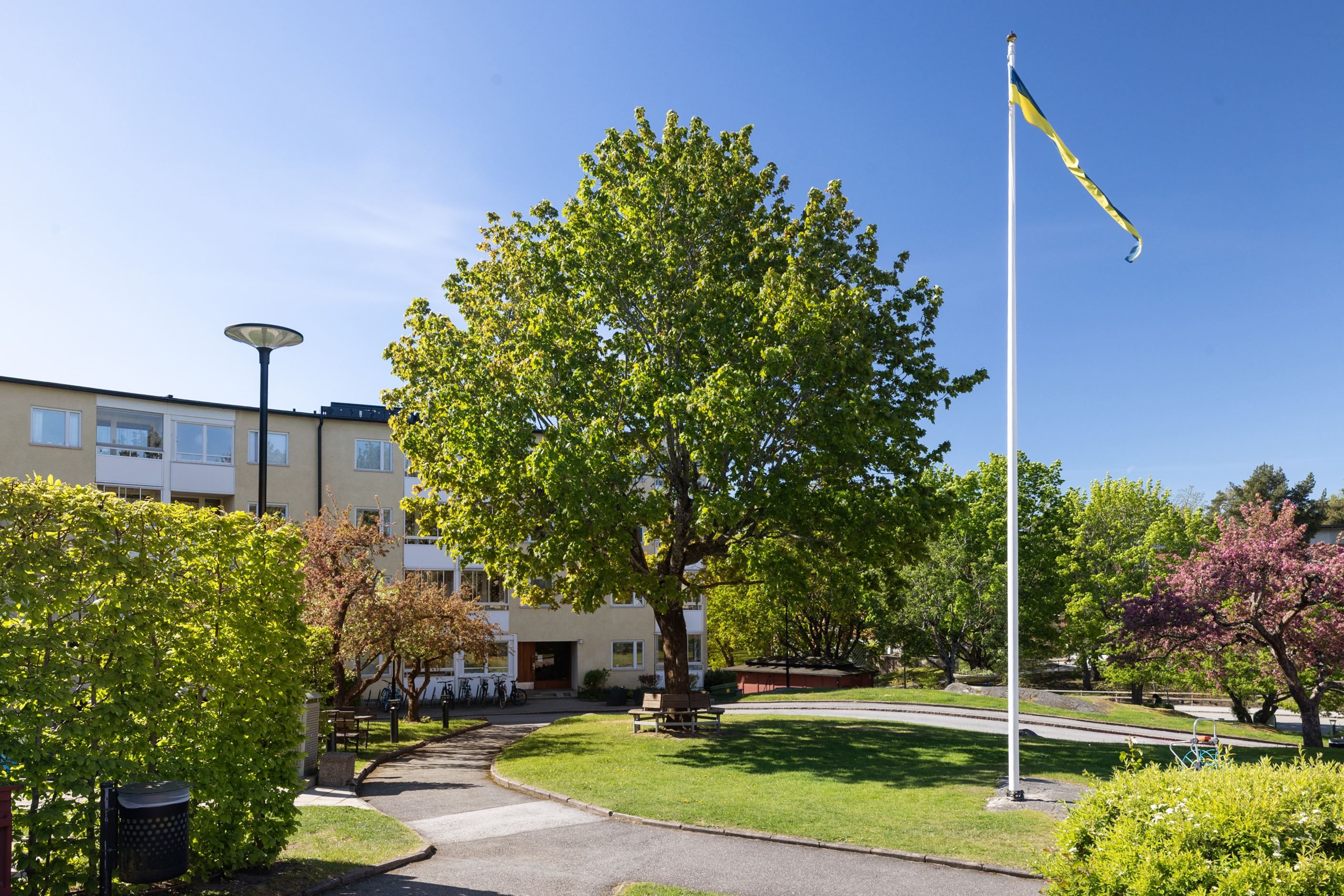 Lingvägen