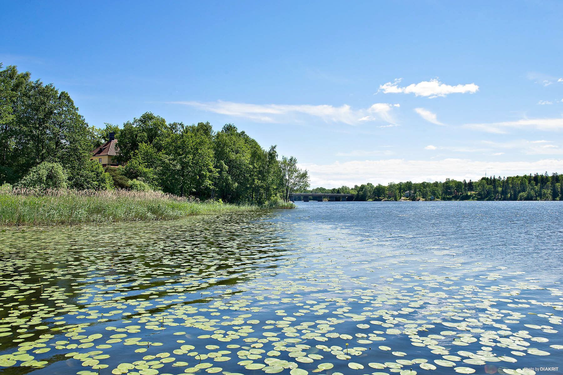 Underbara Magelungen