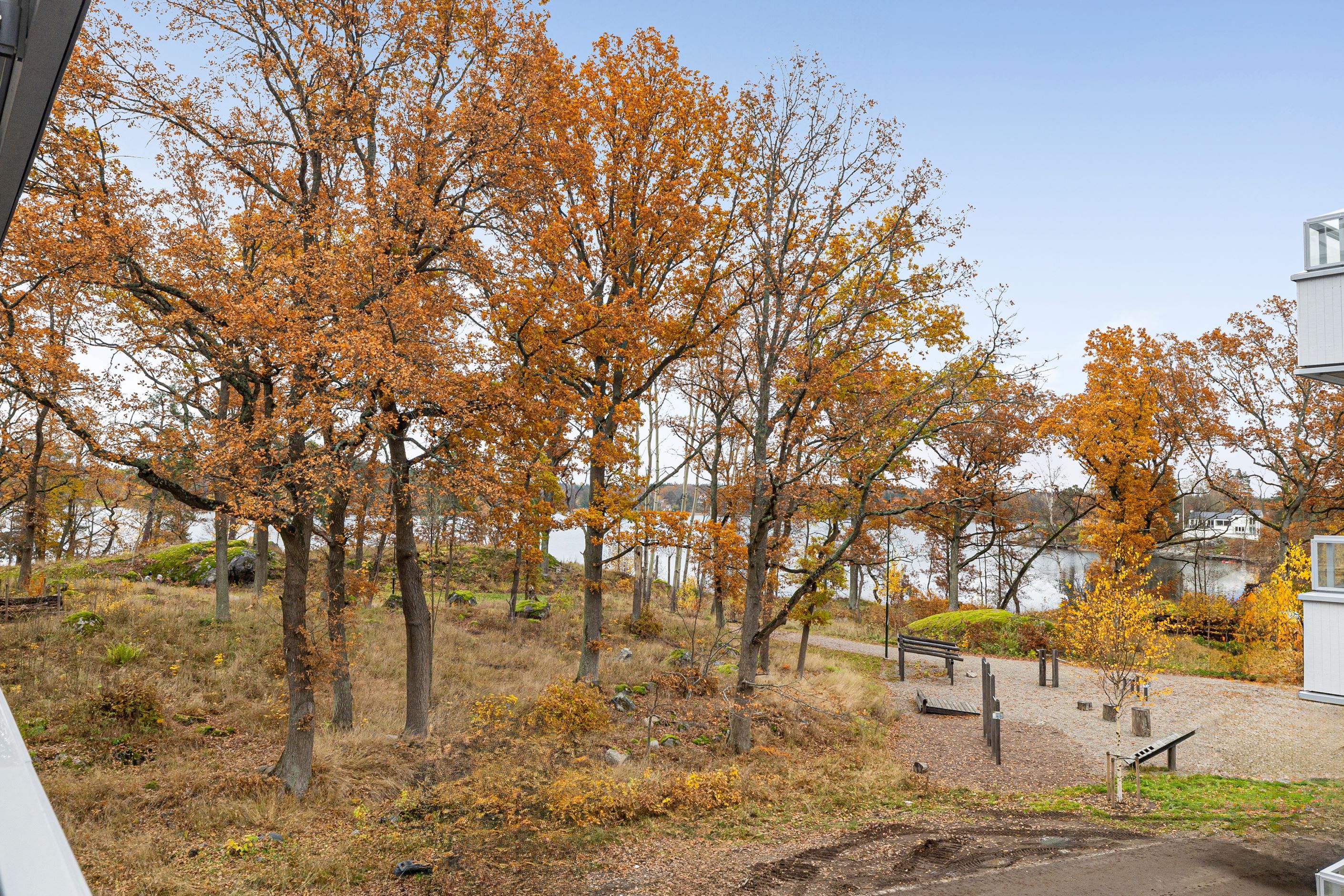 Naturen runt hörnet