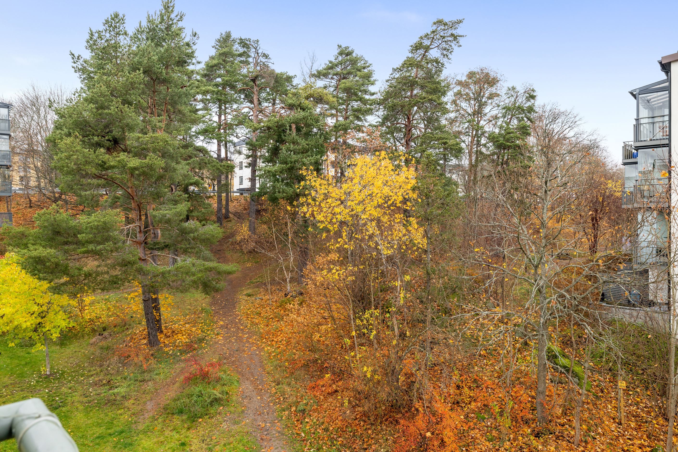 Utsikt från balkong