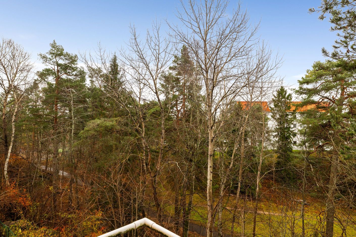 Utsikt från balkong