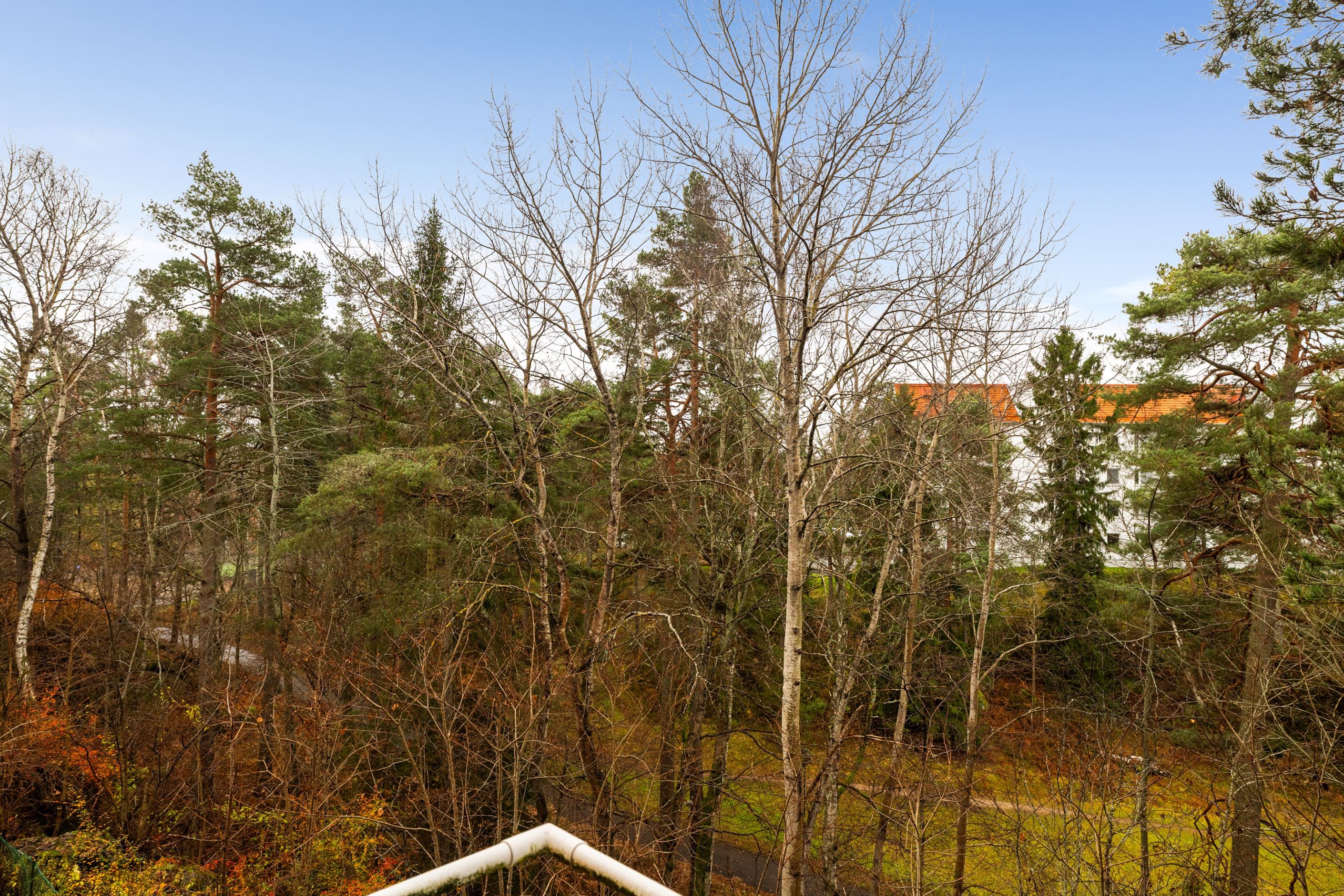 Utsikt från balkong