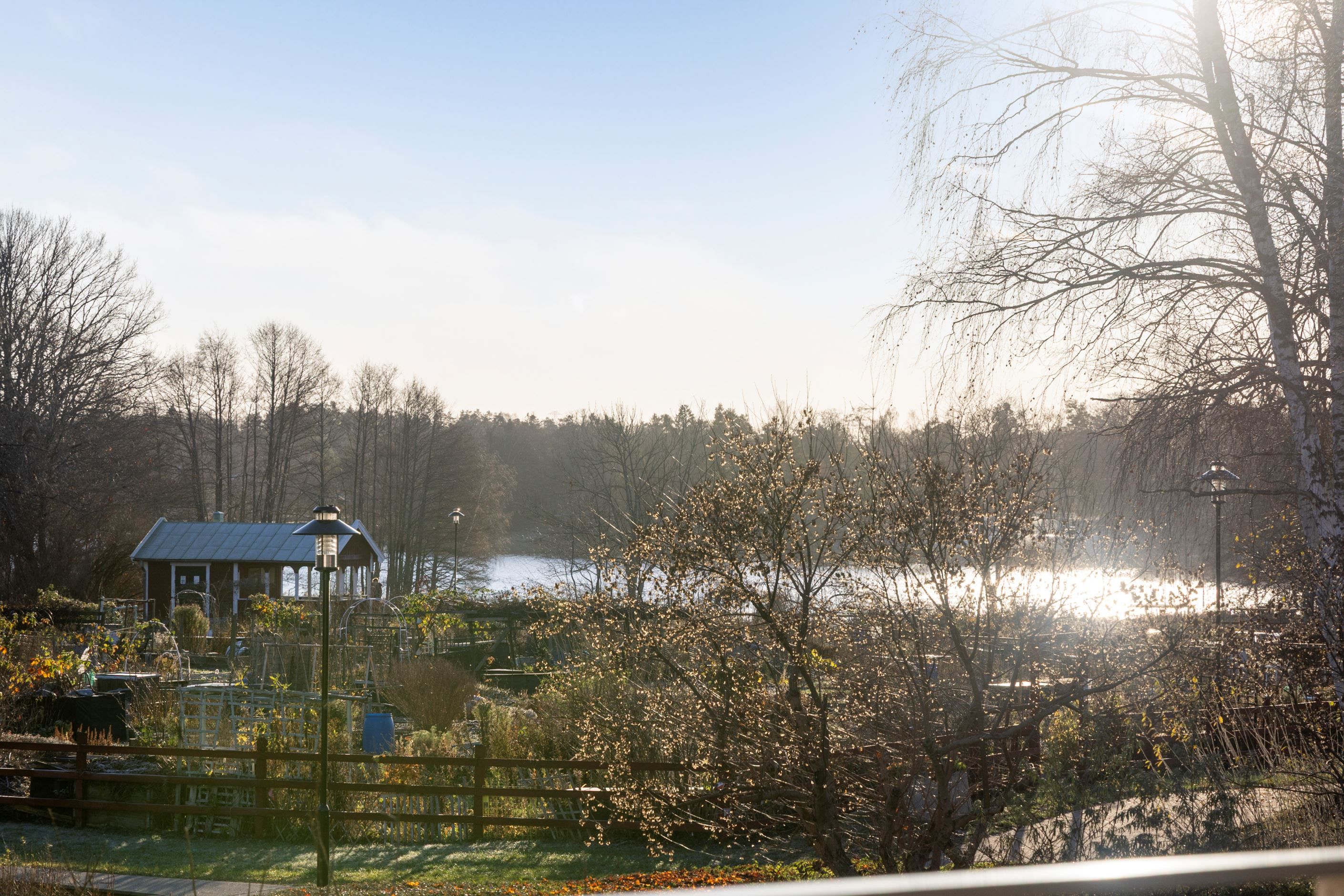 Utsikt från balkong