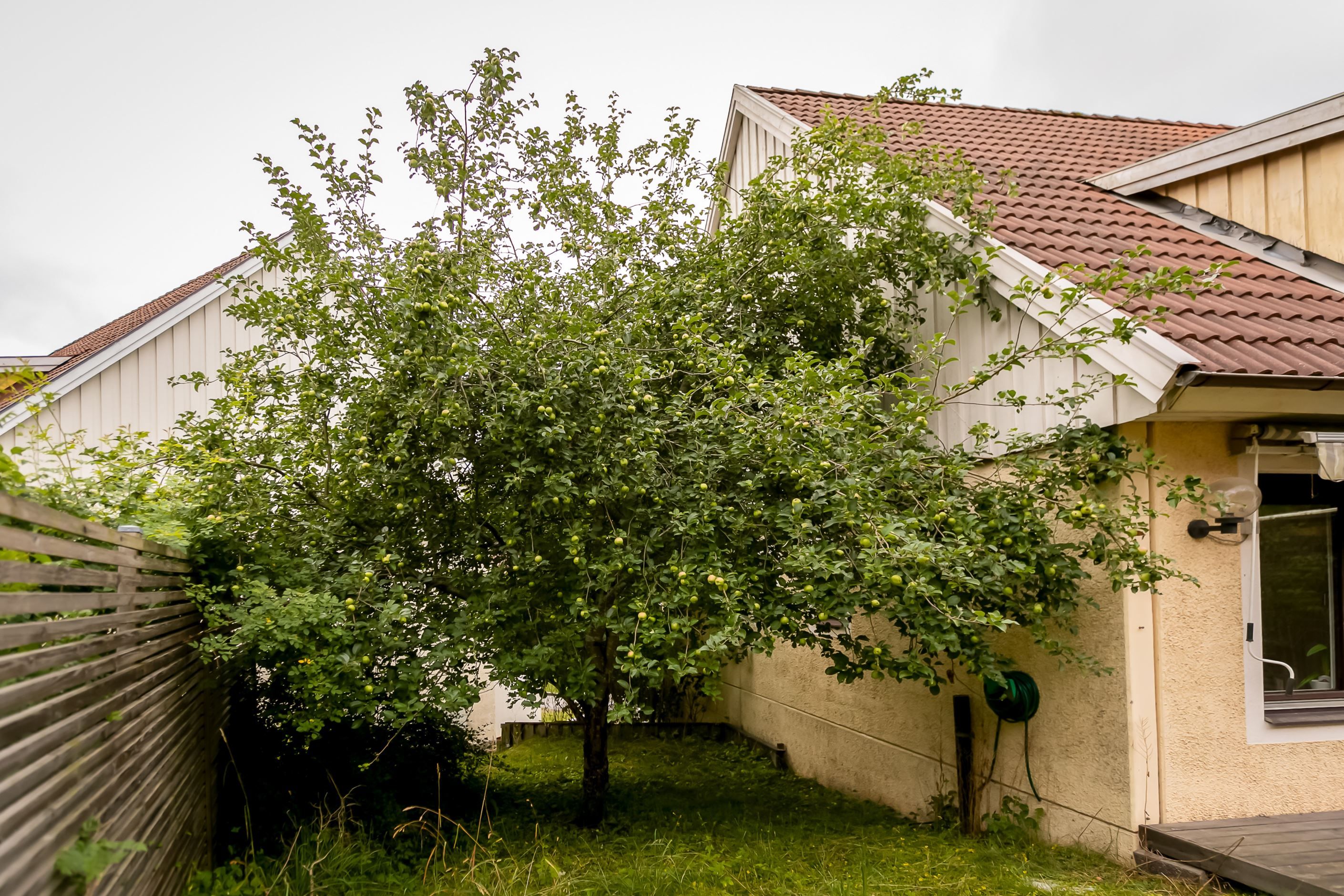 Gavelläge