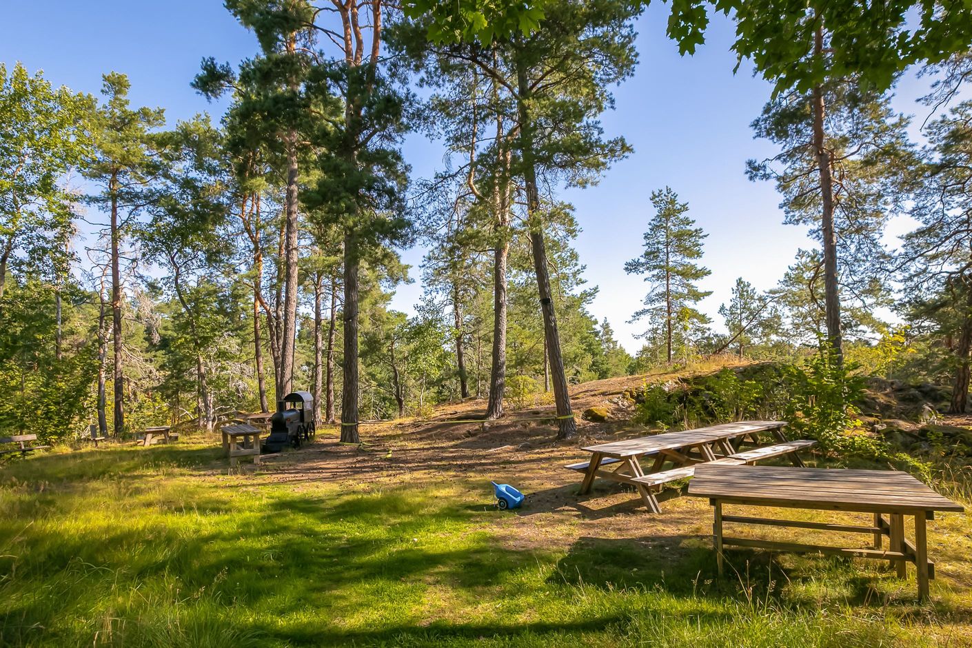 Baksida mot naturen
