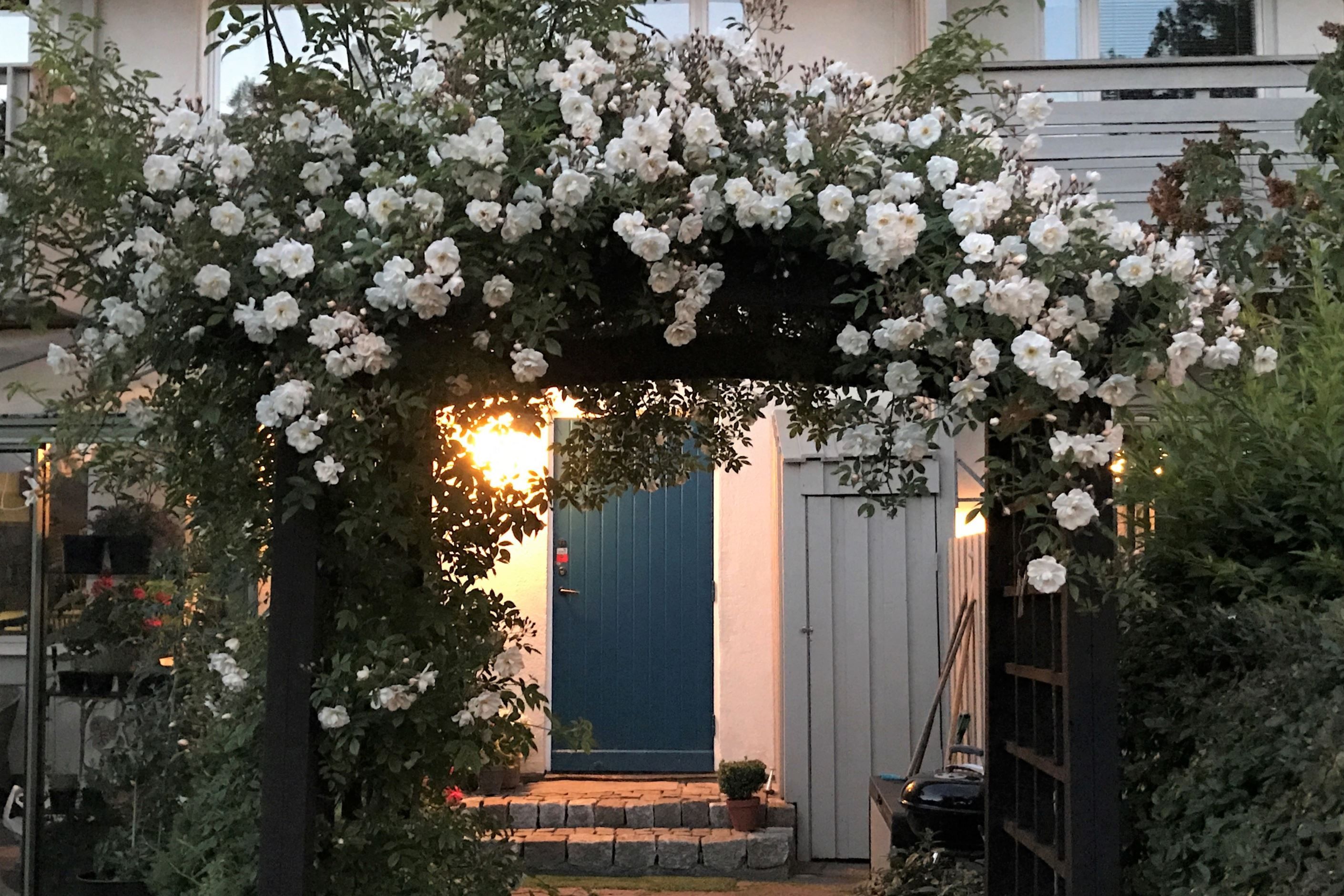 Säljarens sommarbild
