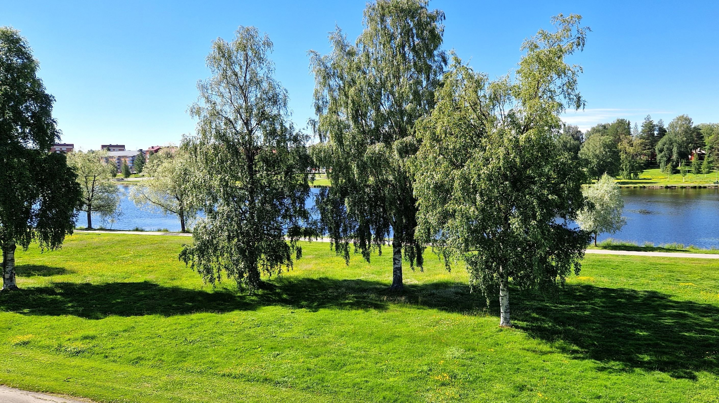 Utsikt från balkongen