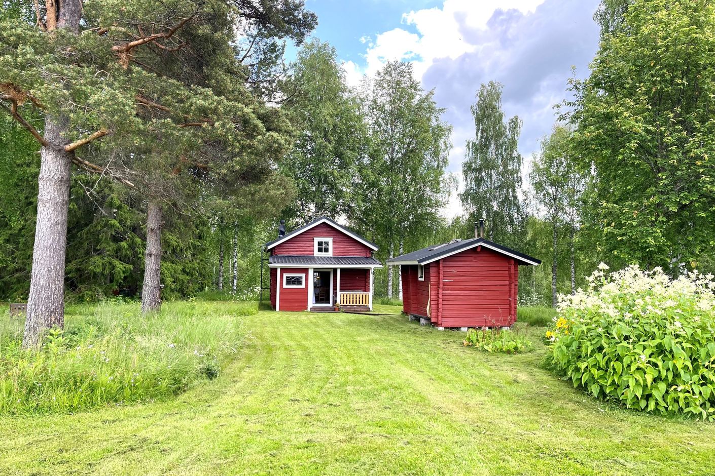 Exteriör