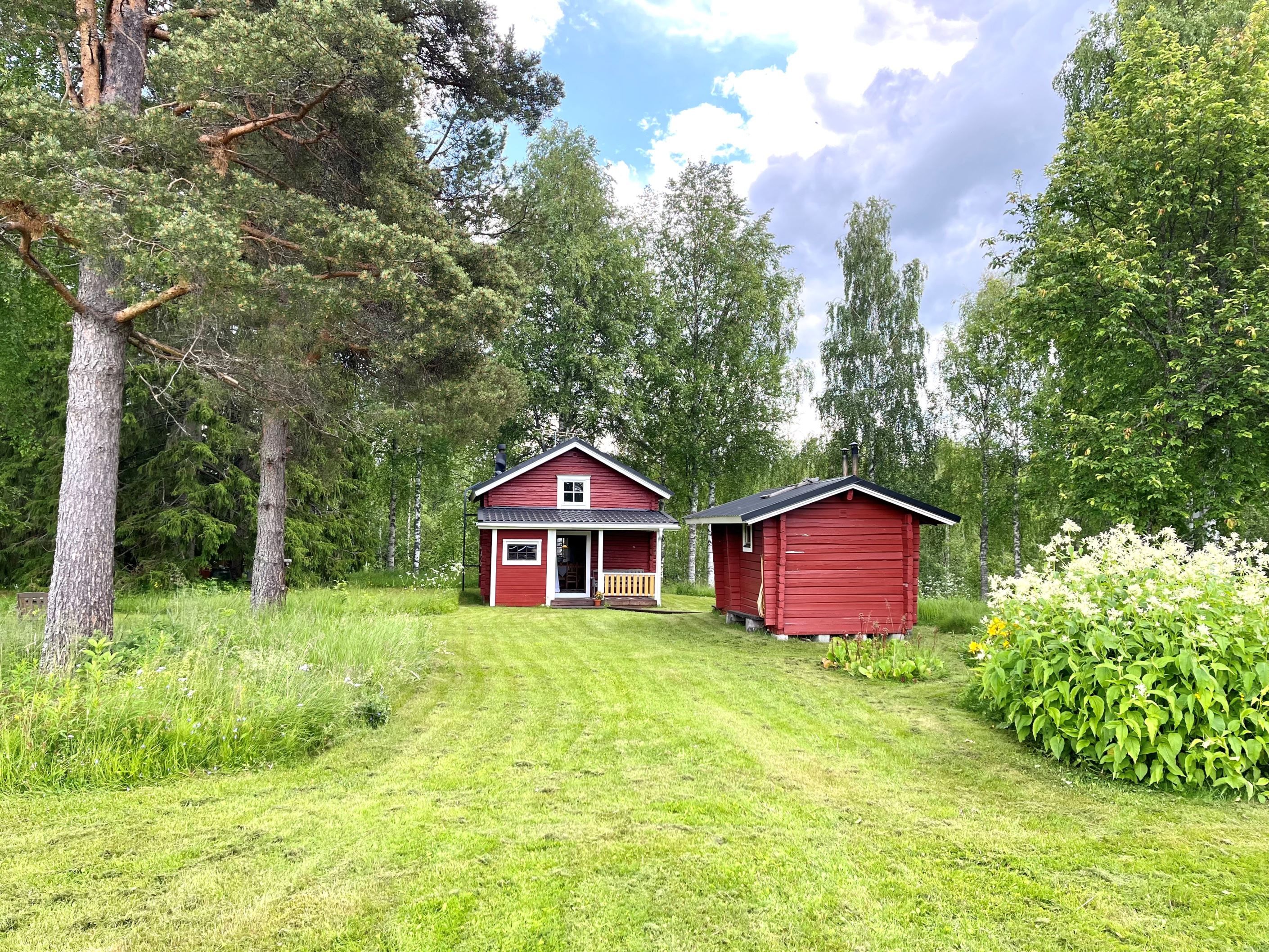 Exteriör