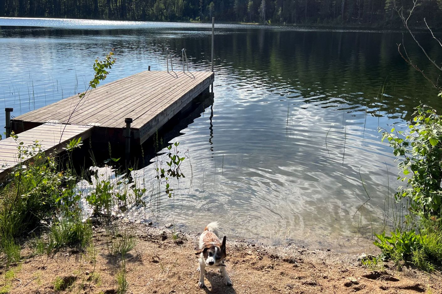 Lapptjärn endast 500 meter från huset.