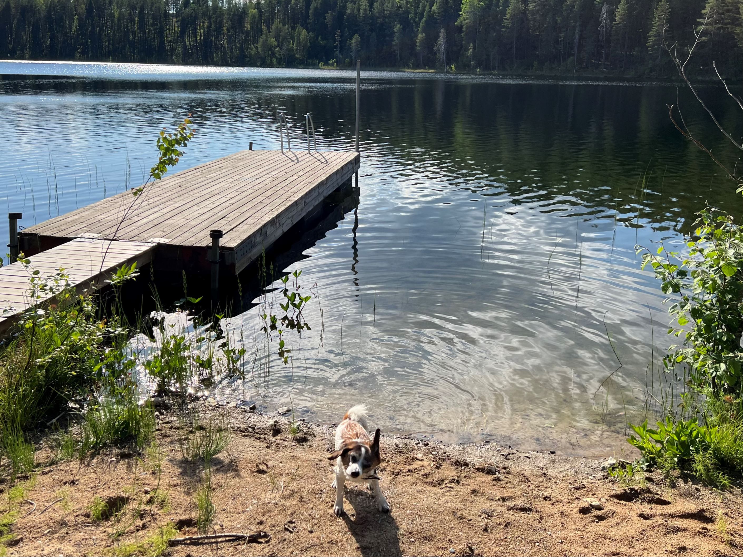 Lapptjärn endast 500 meter från huset.