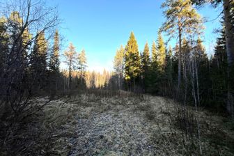 Brännberg