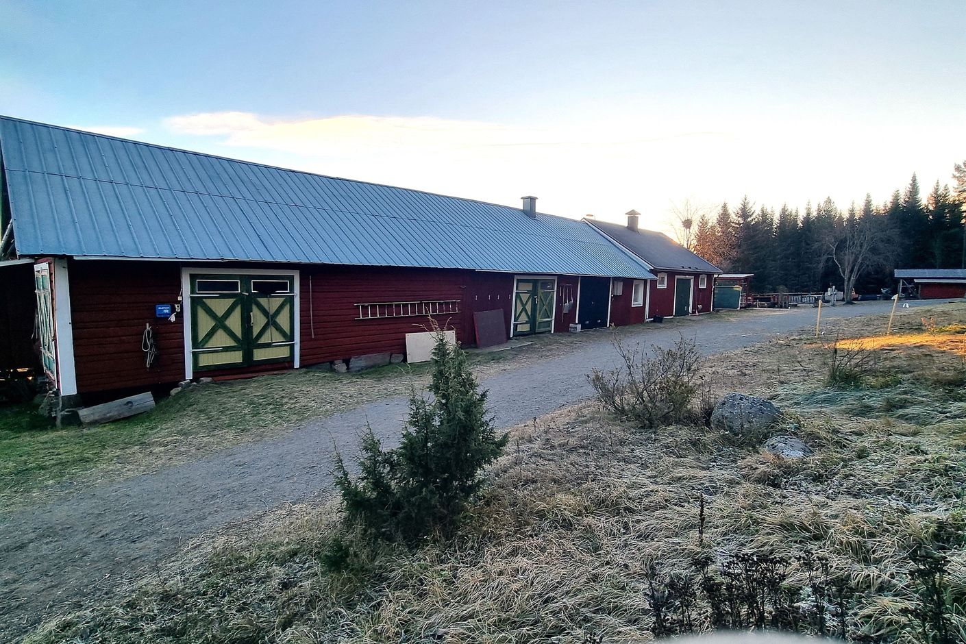 Exteriör
