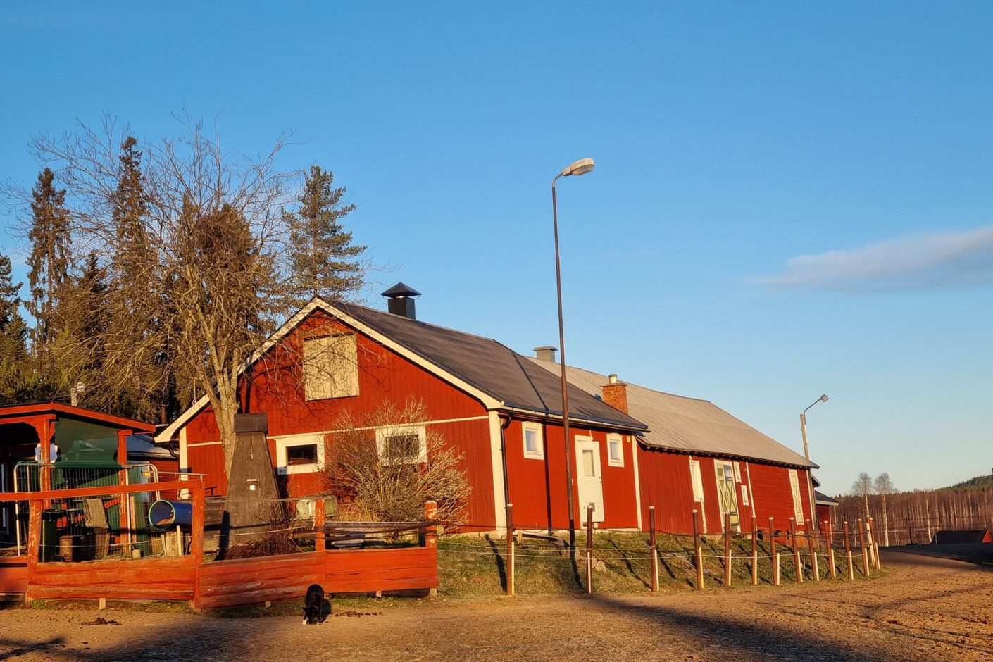 Exteriör