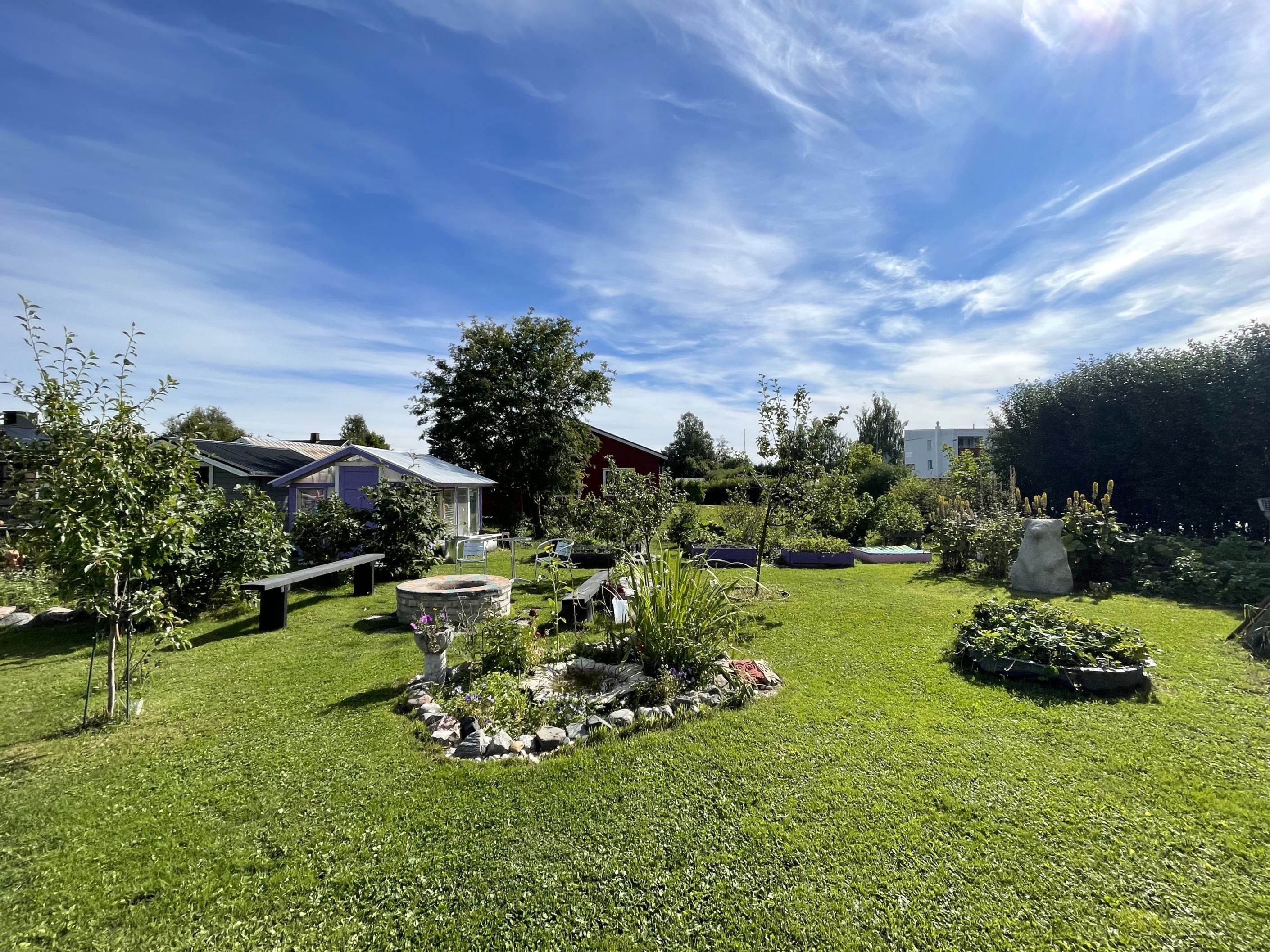 Trädgård