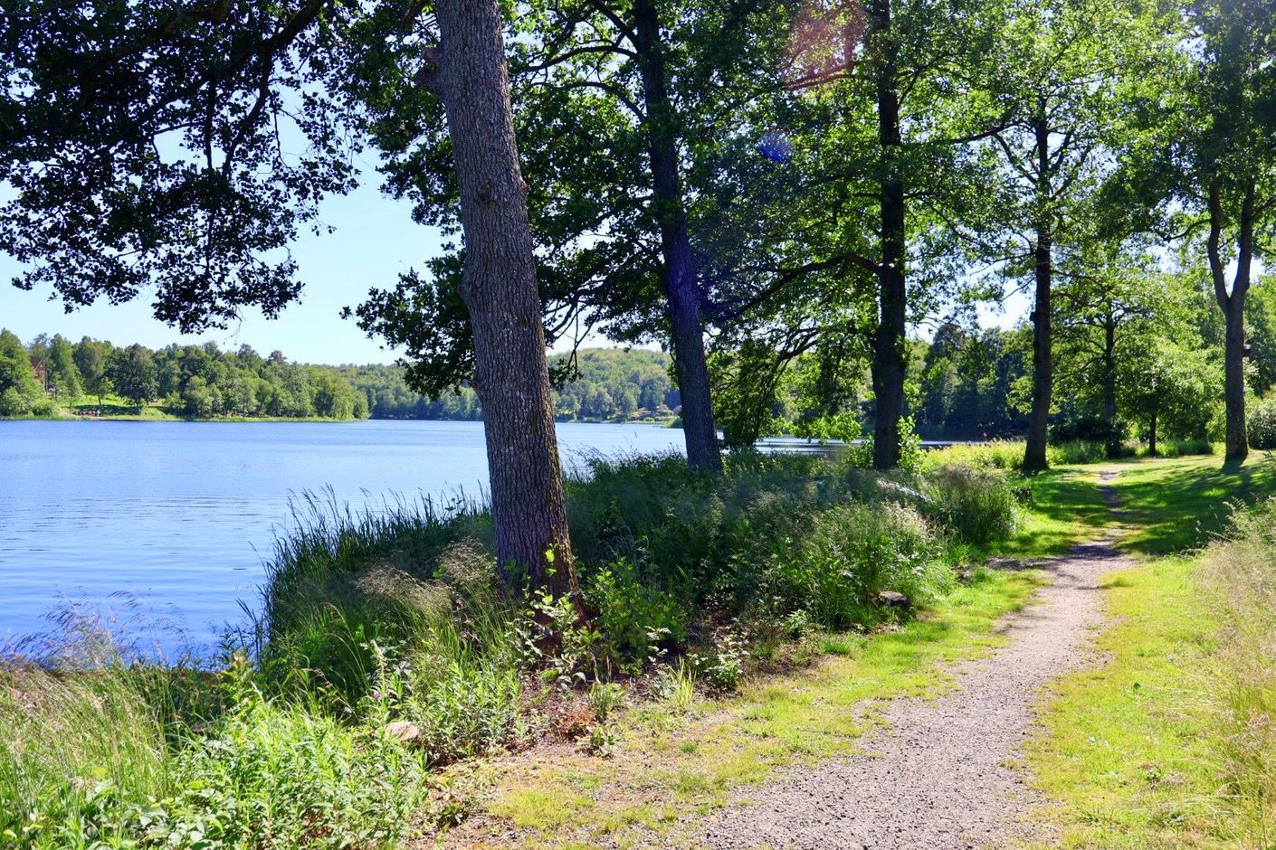 Närområde