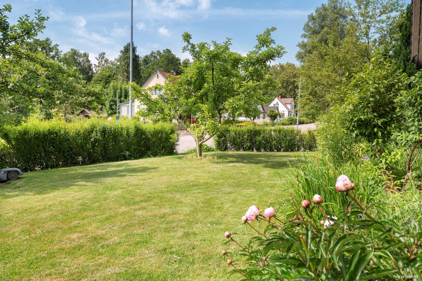 Trädgård