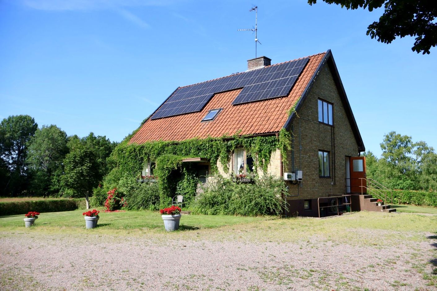 Exteriör