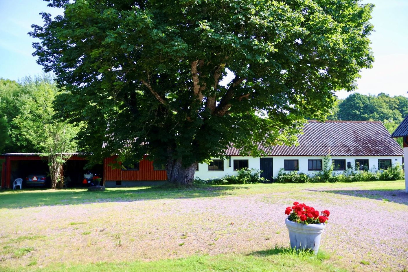 Exteriör