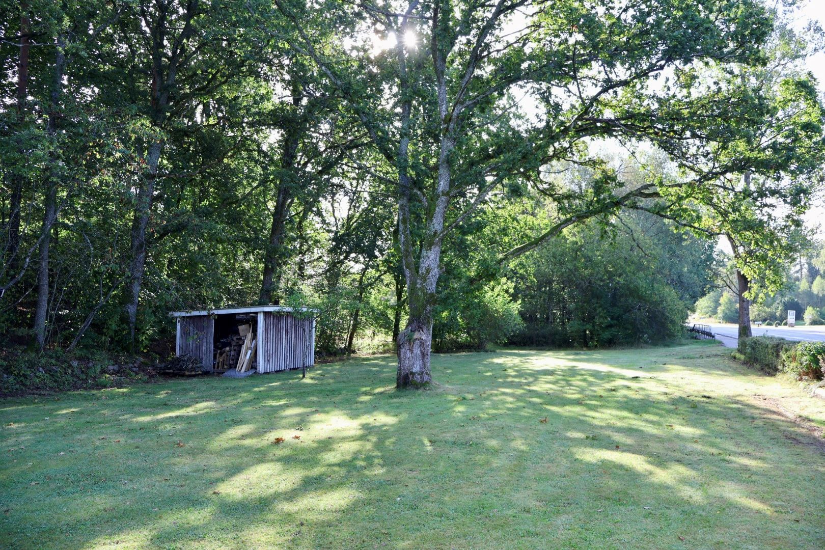 Trädgård