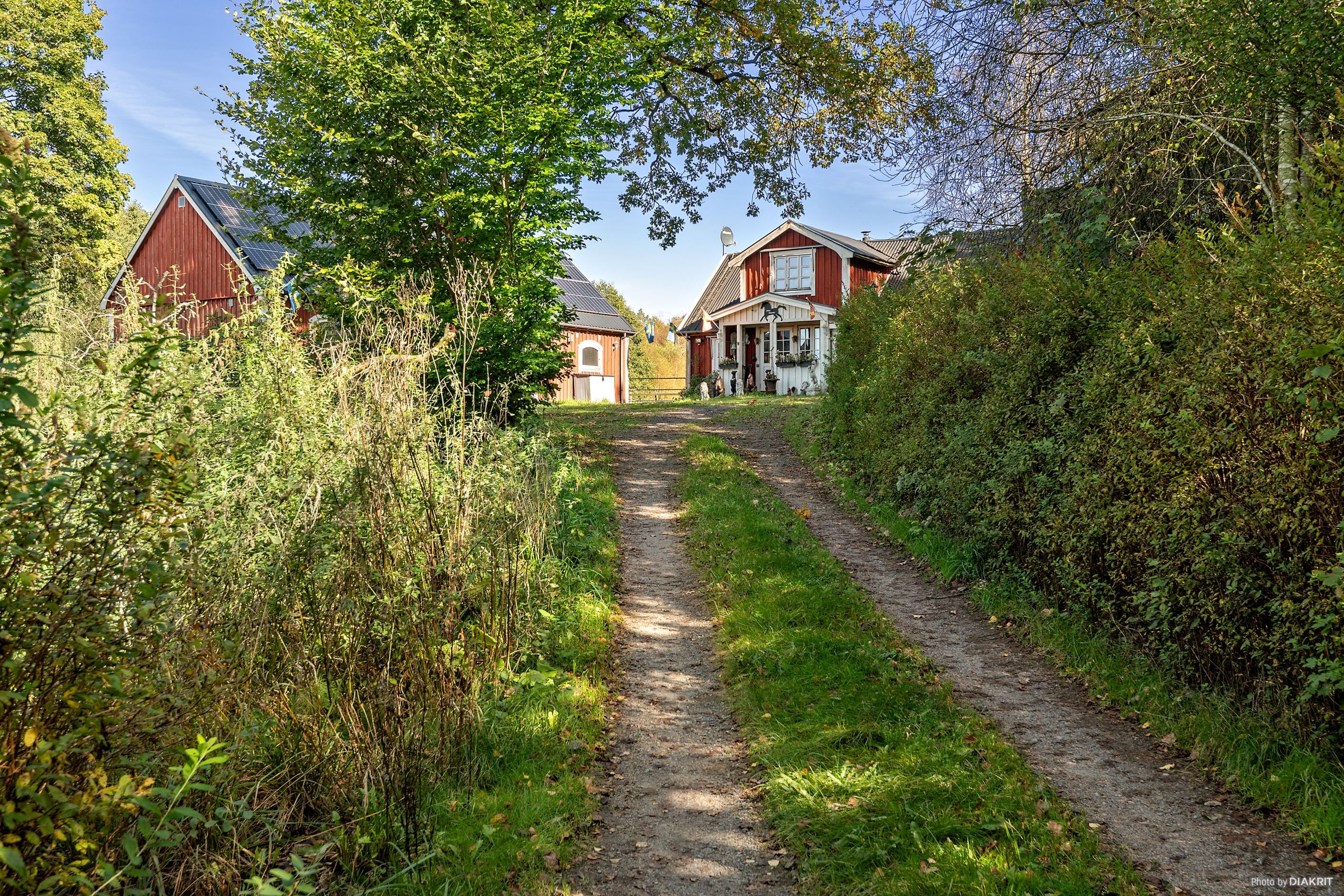 Exteriör