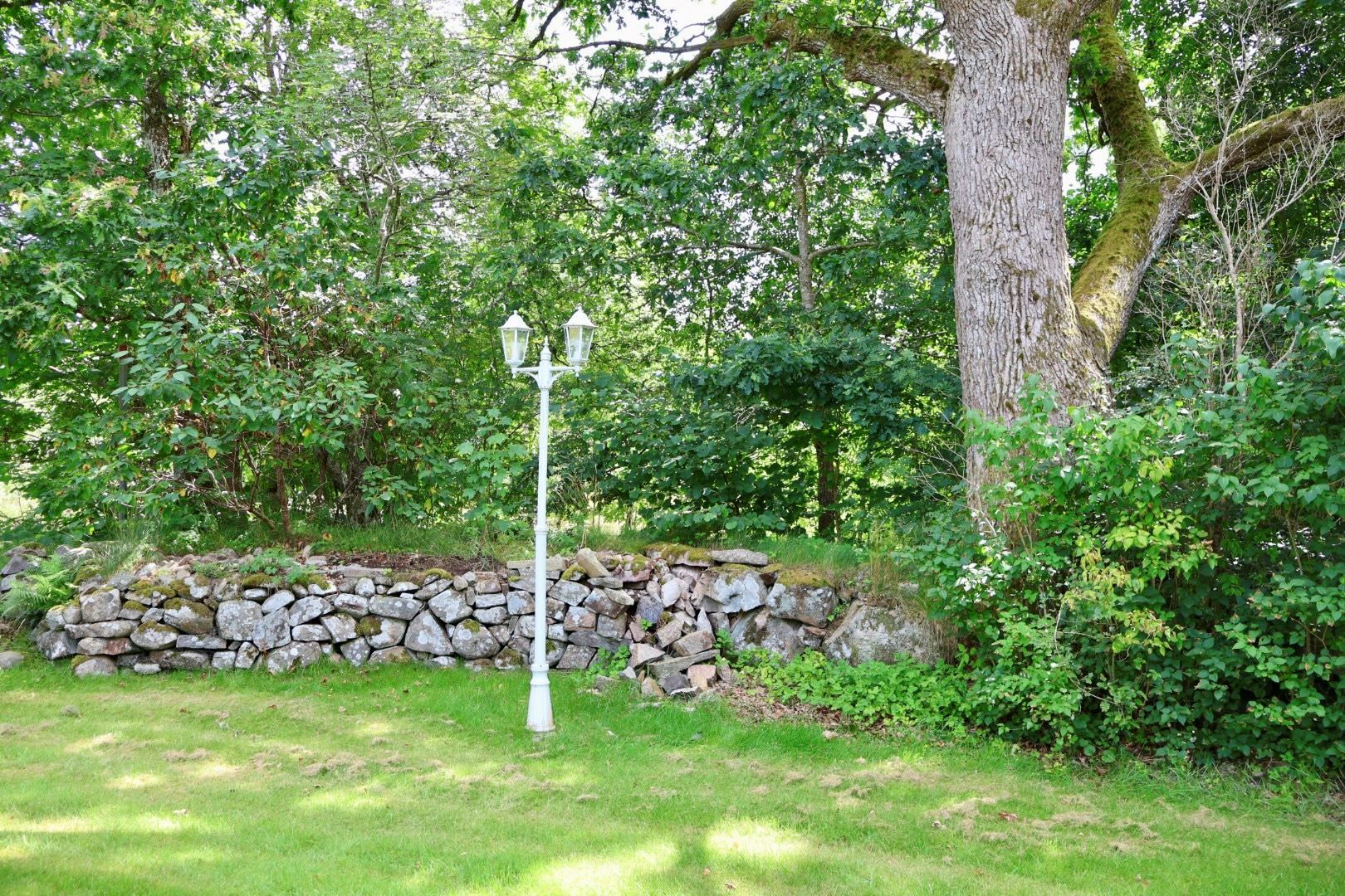 Trädgård