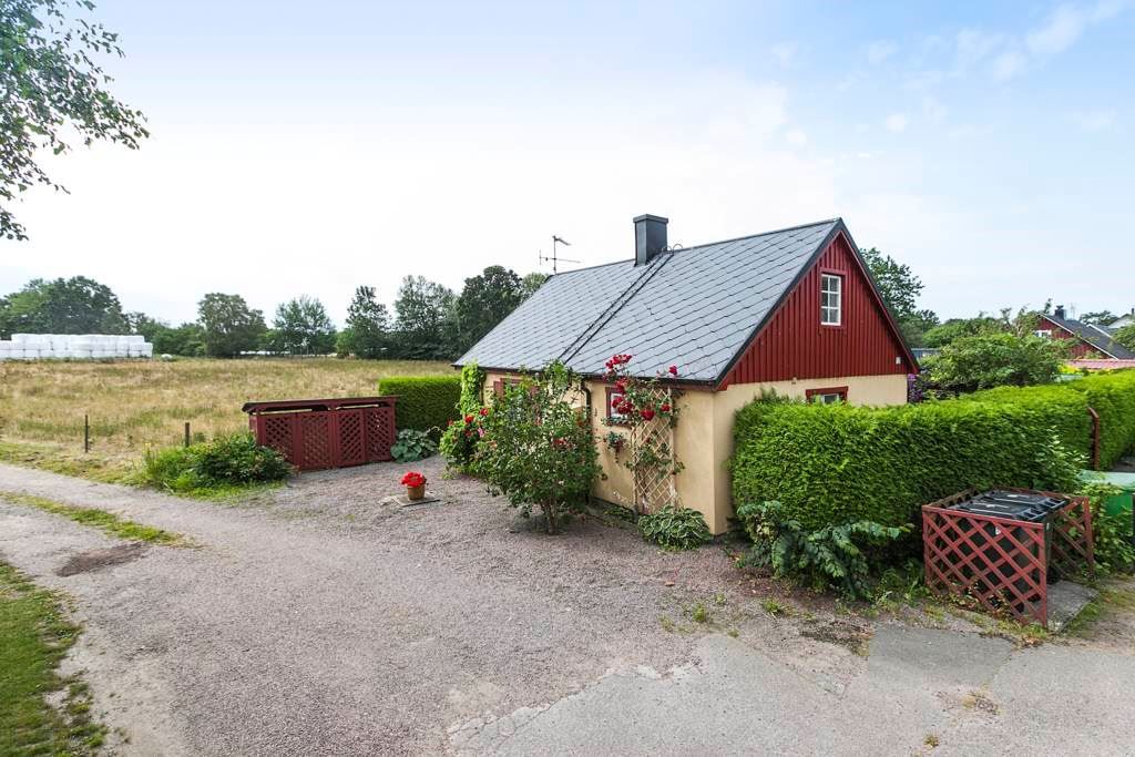 Exteriör