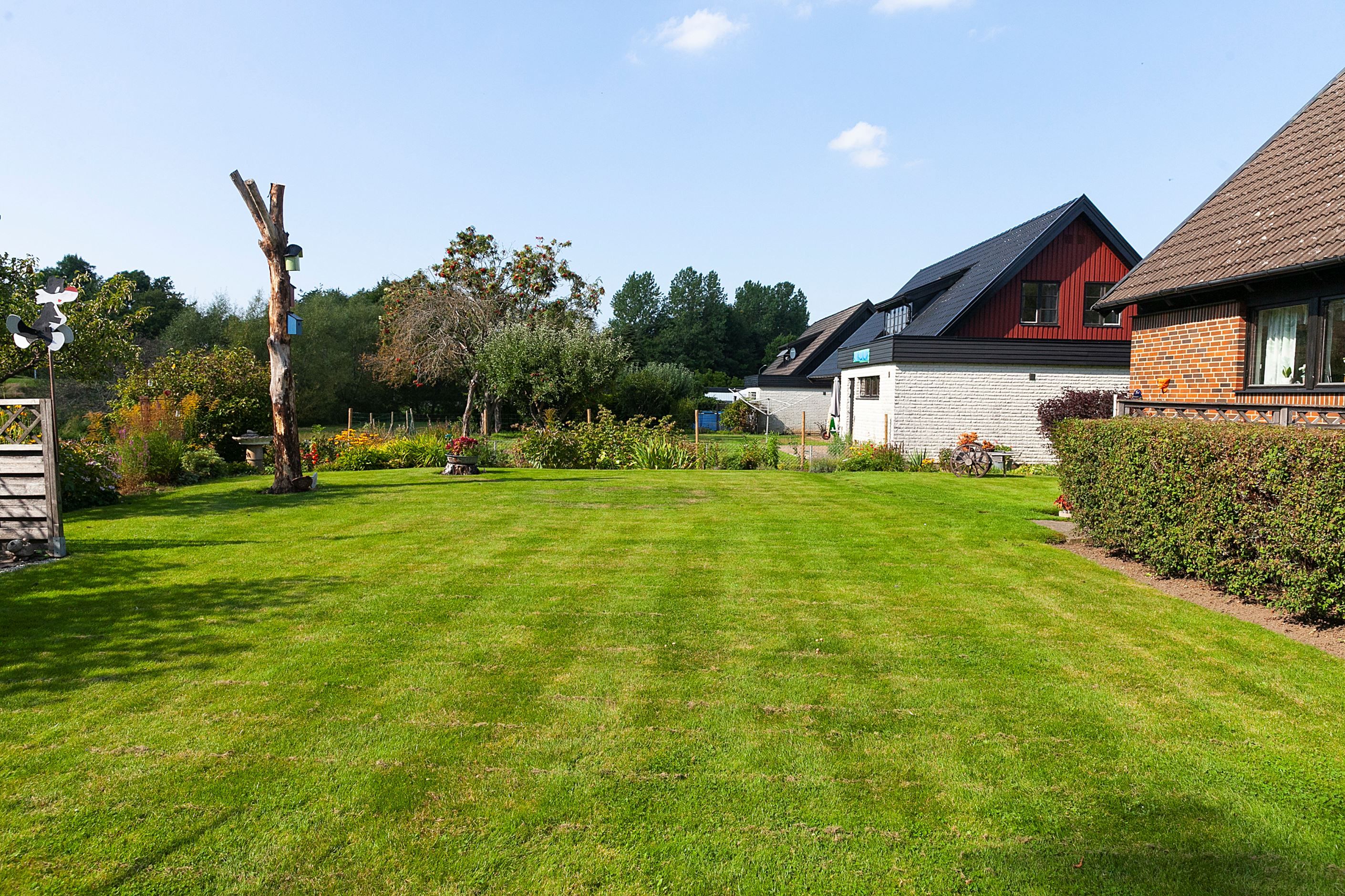 Trädgård