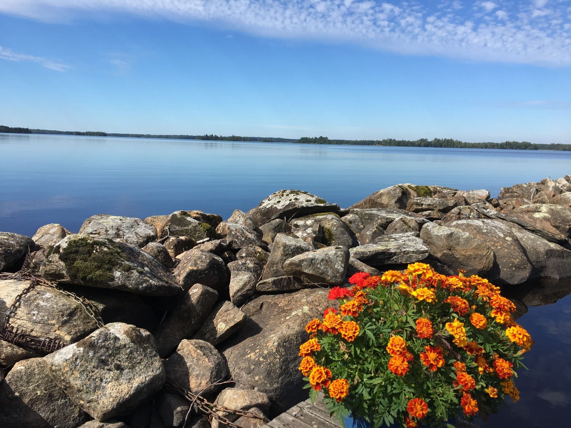 Säljarens egna bilder
