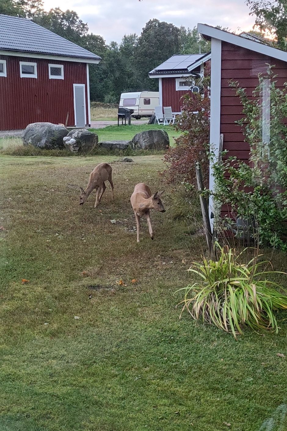 Säljarens egna bilder