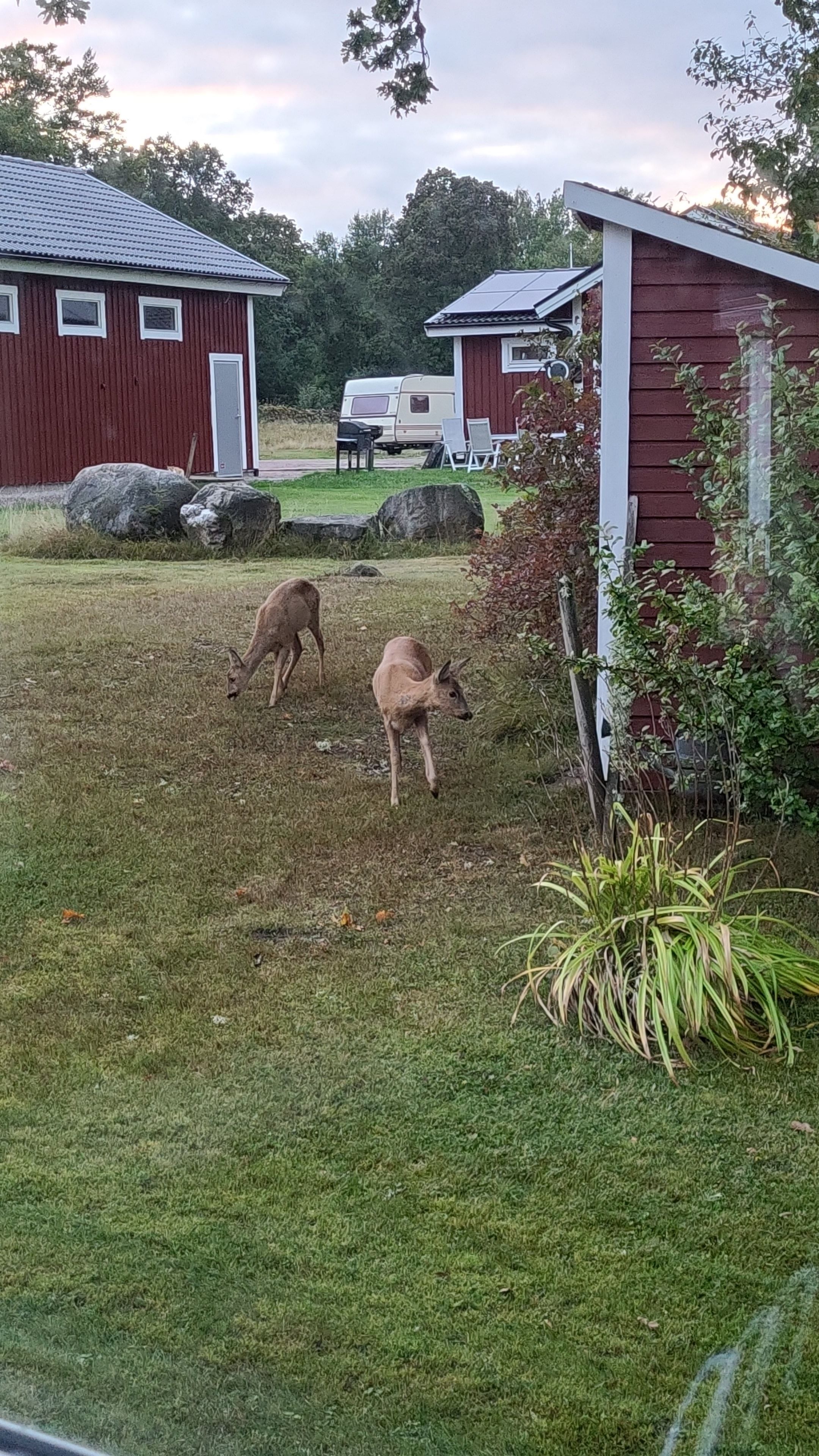 Säljarens egna bilder