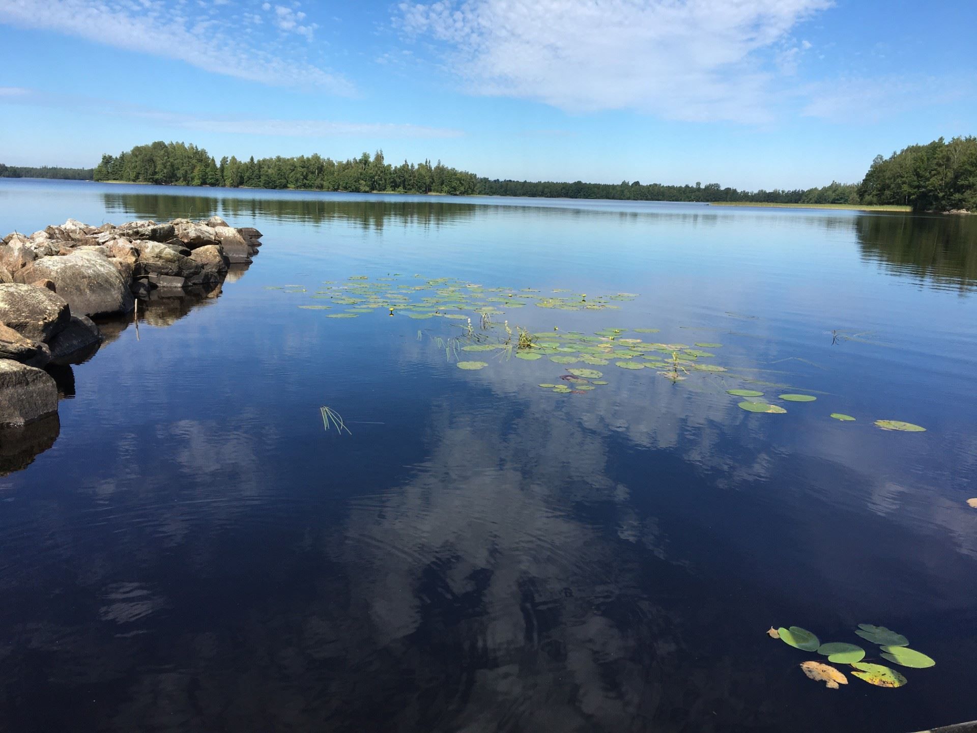 Säljarens egna bilder