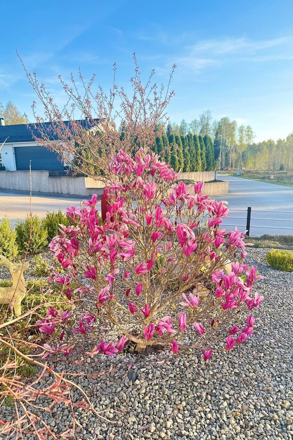Säljarens egna bild