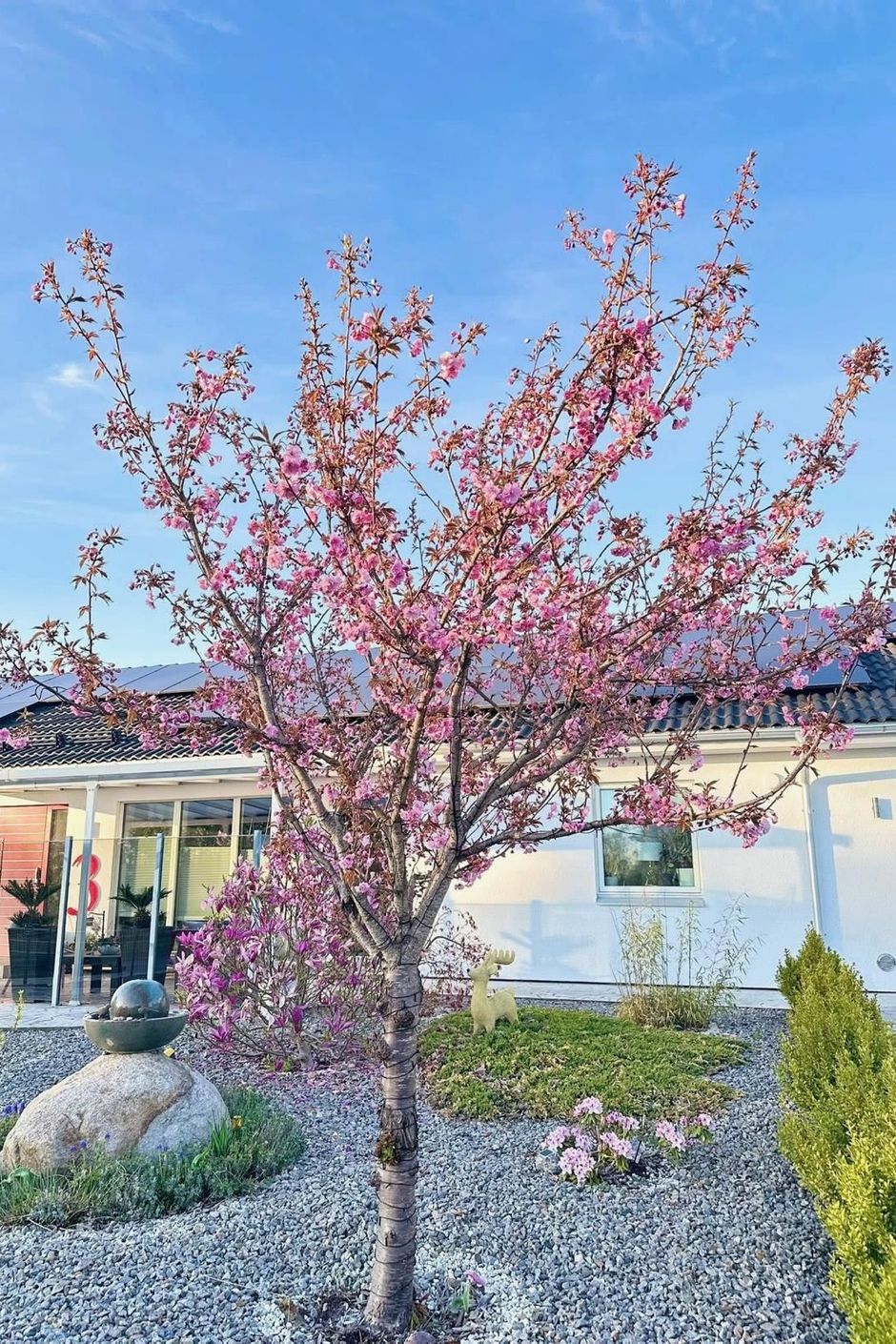 Säljarens egna bild