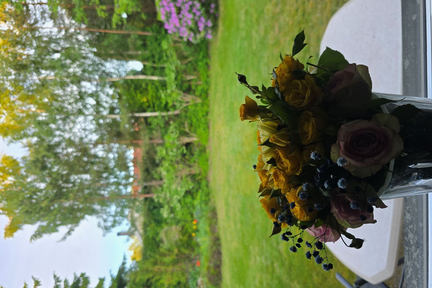 Säljarens egna bild