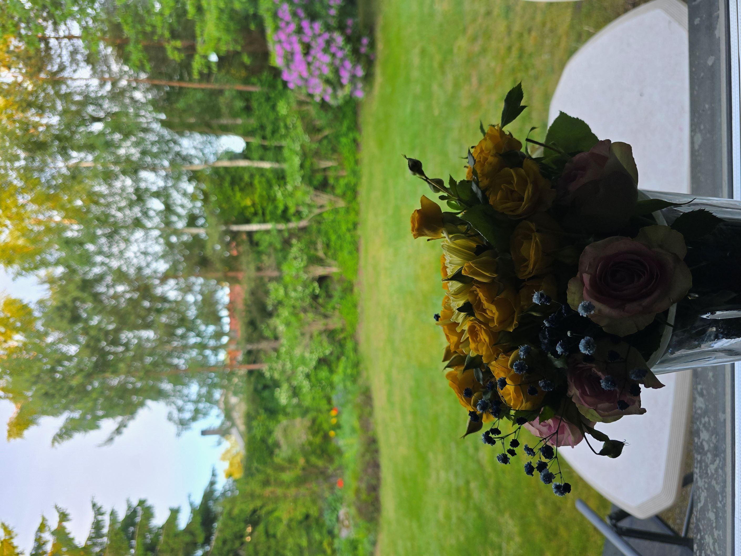 Säljarens egna bild