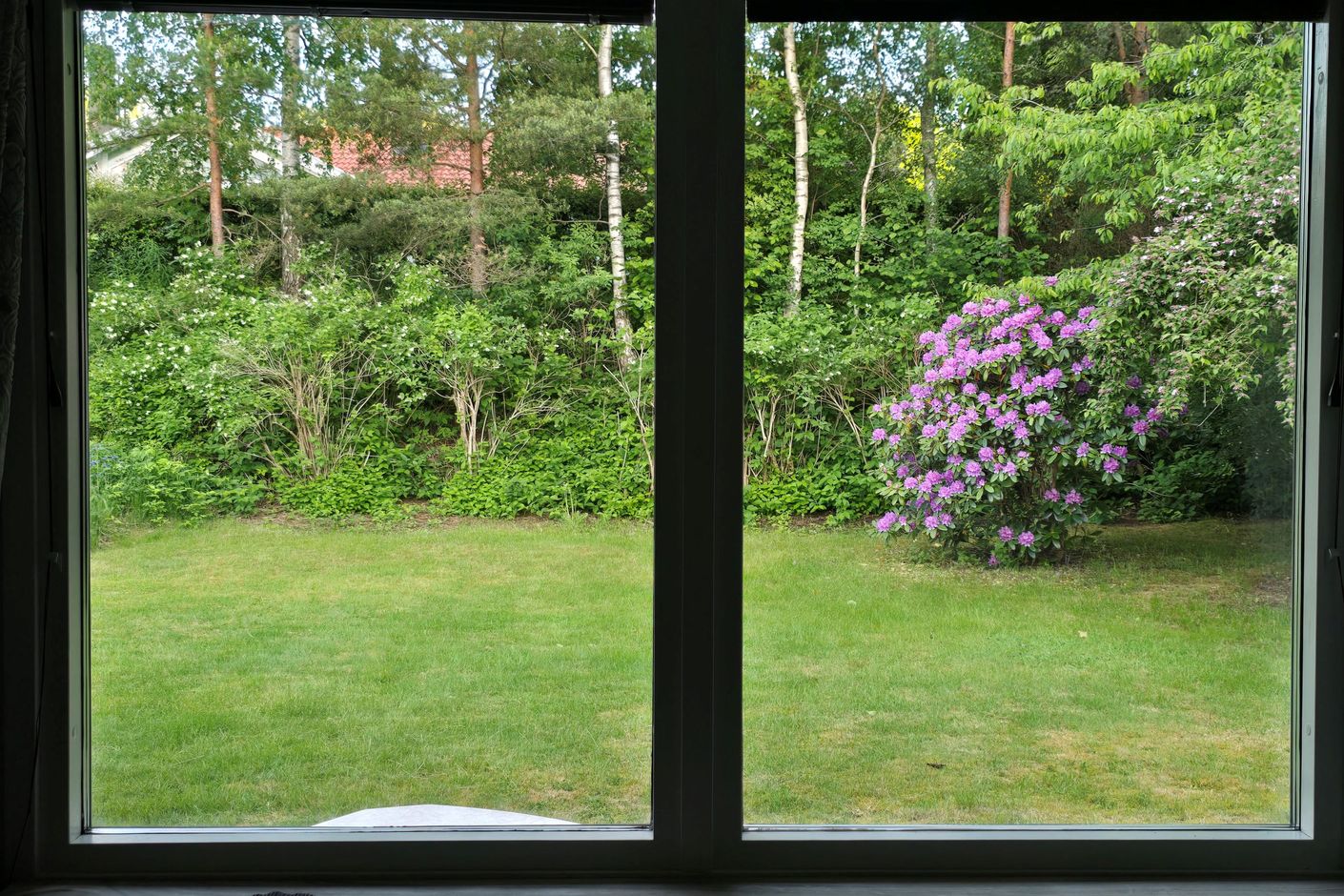 Säljarens egna bild