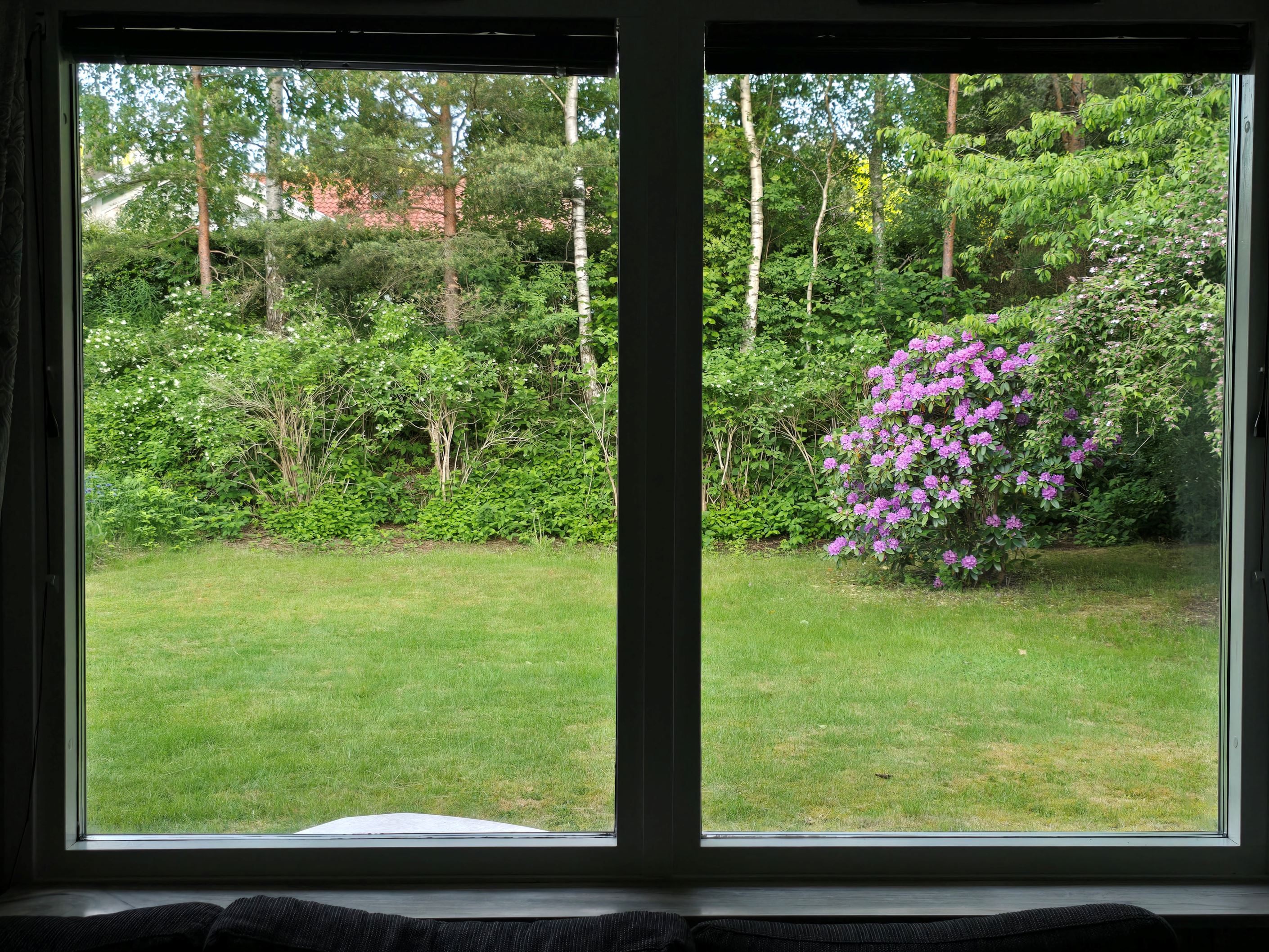 Säljarens egna bild