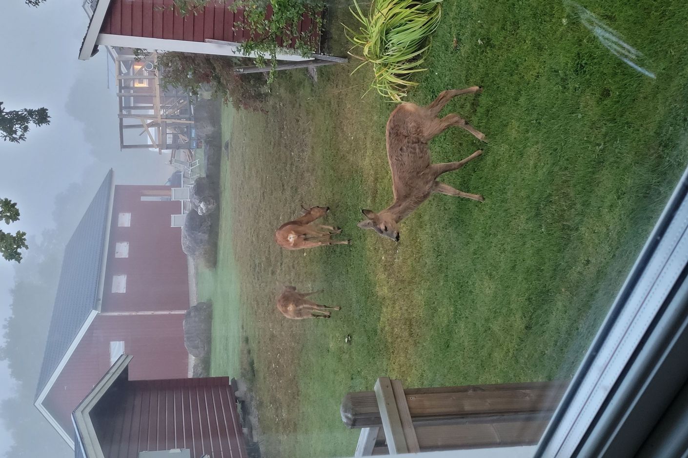Säljarens egna bilder