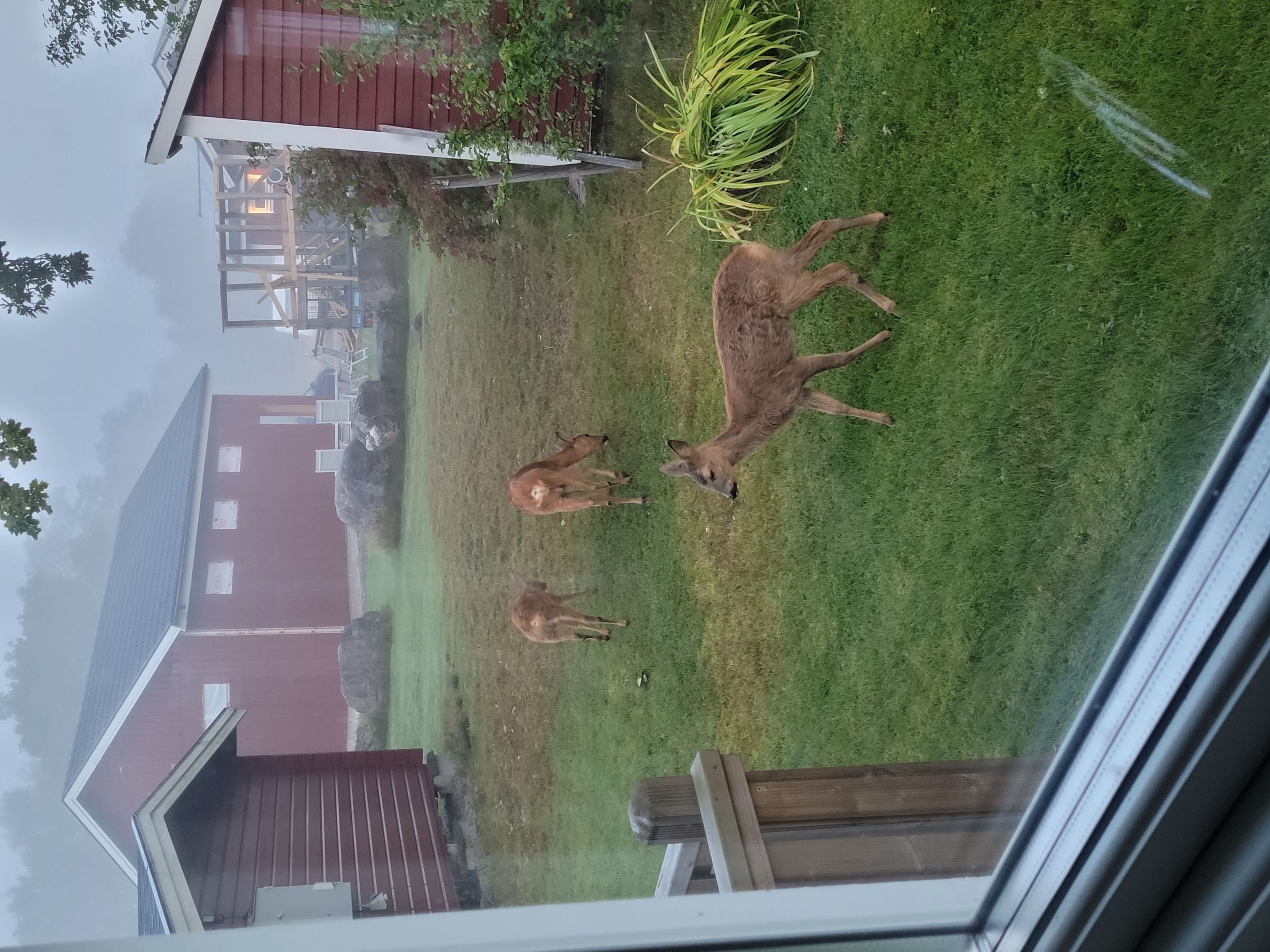 Säljarens egna bilder