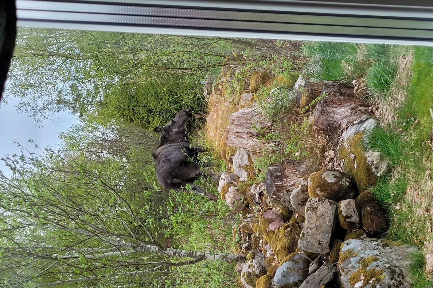 Säljarens egna bilder