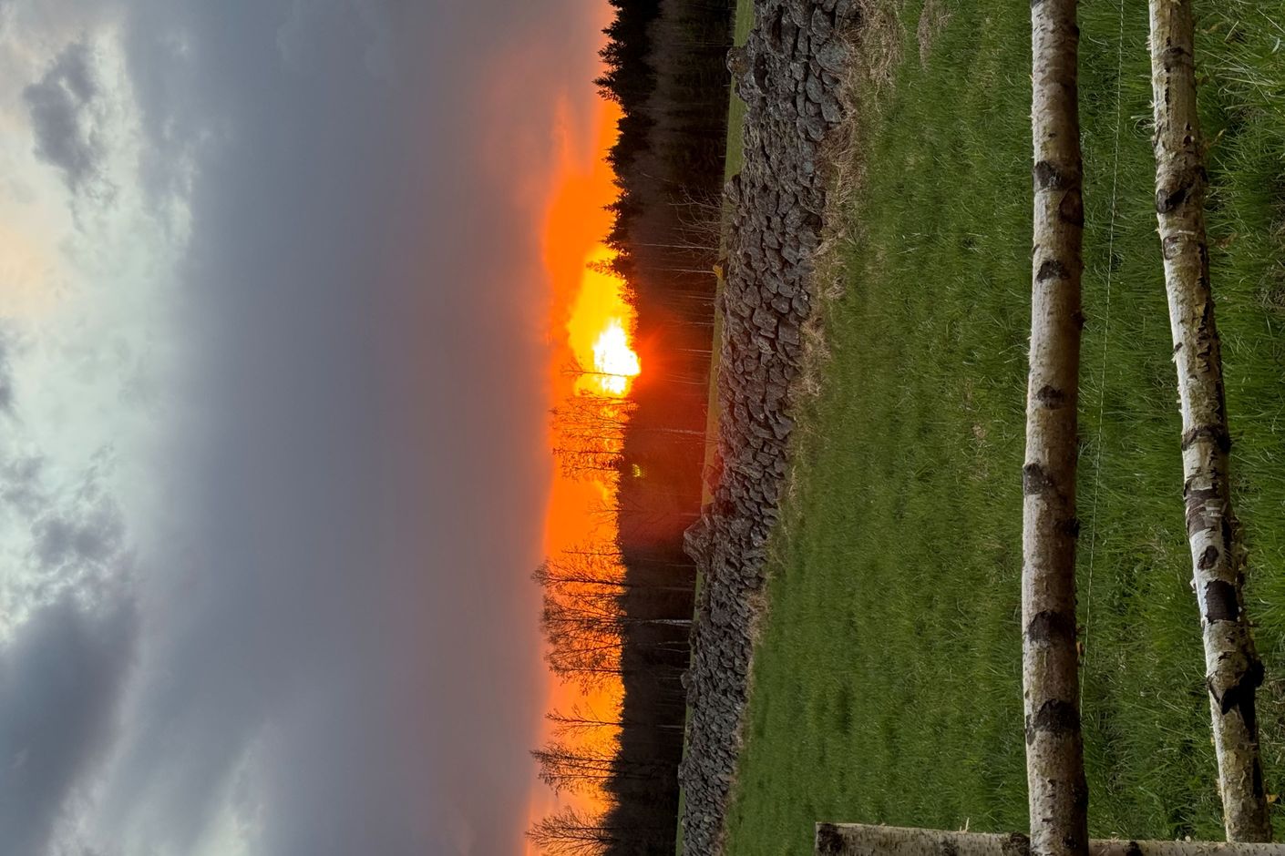 Säljarens egna bilder