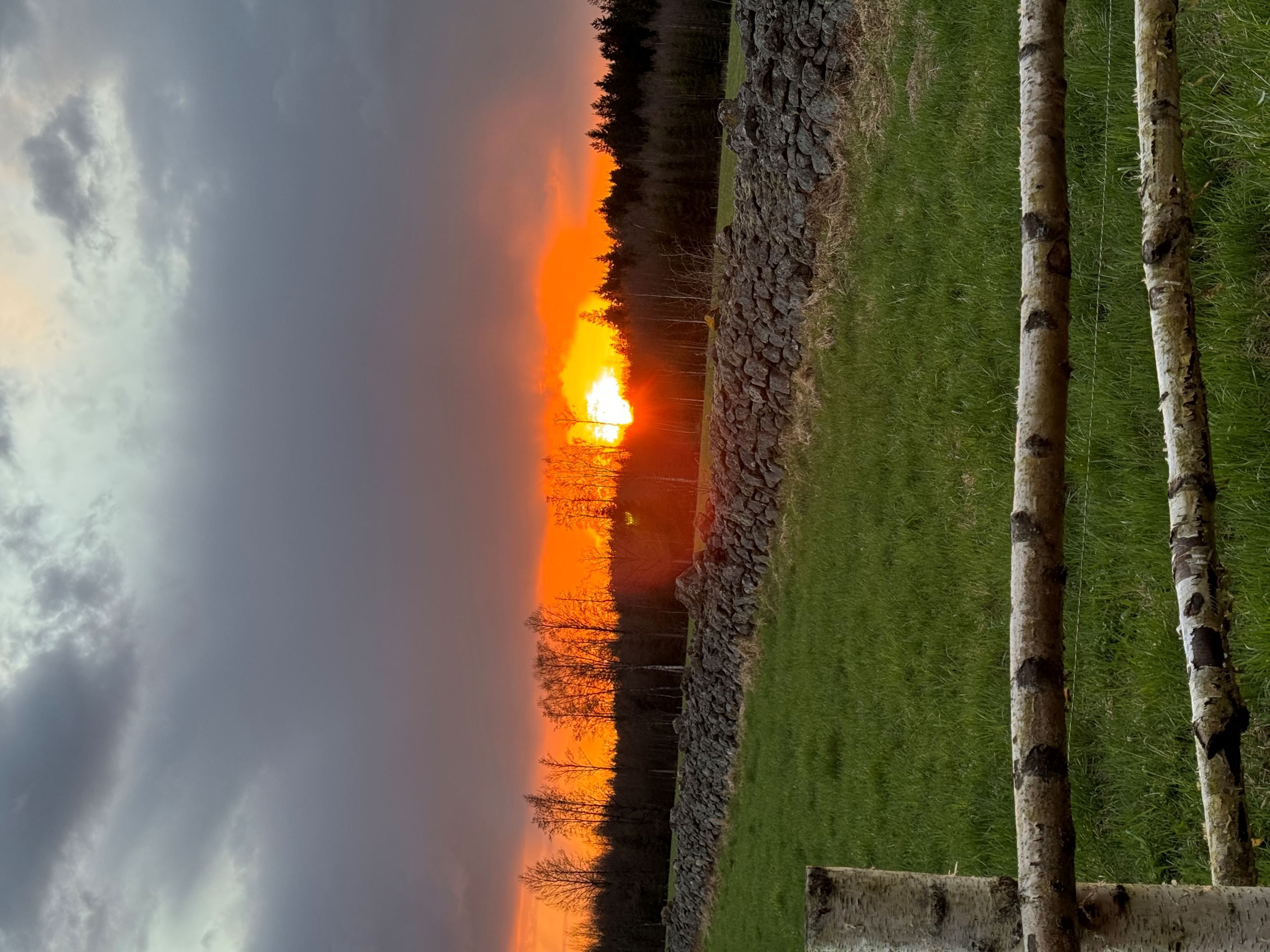Säljarens egna bilder