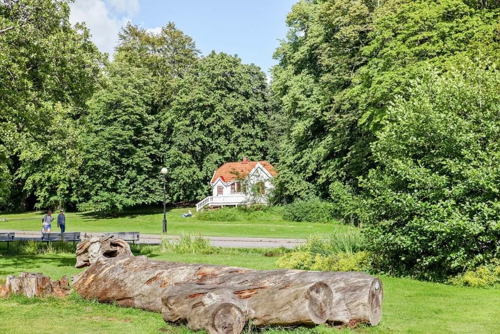 Slottsskogen