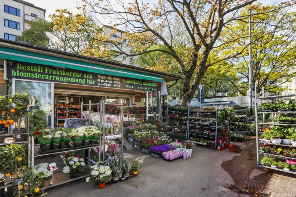 Lågupplöst Tänk att alltid kunna ha färska blommor hemma, precis utanför lägneheten