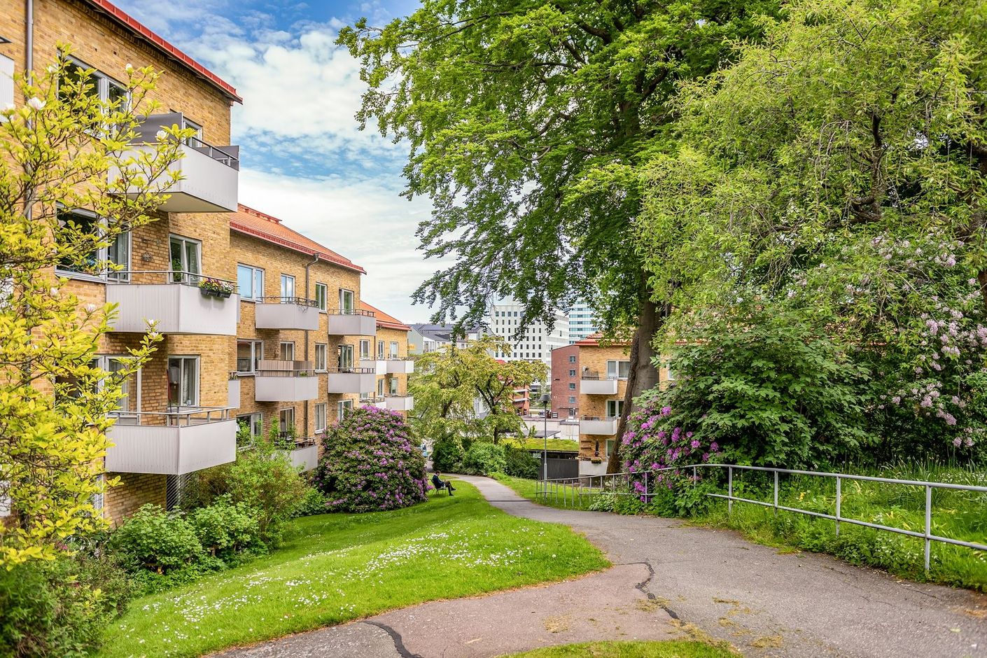 Föreningens lummiga park