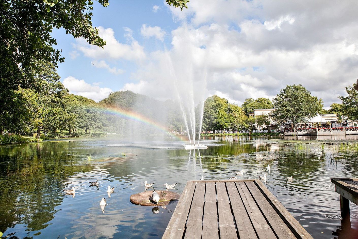 Slottsskogen finns en kort promenad bort