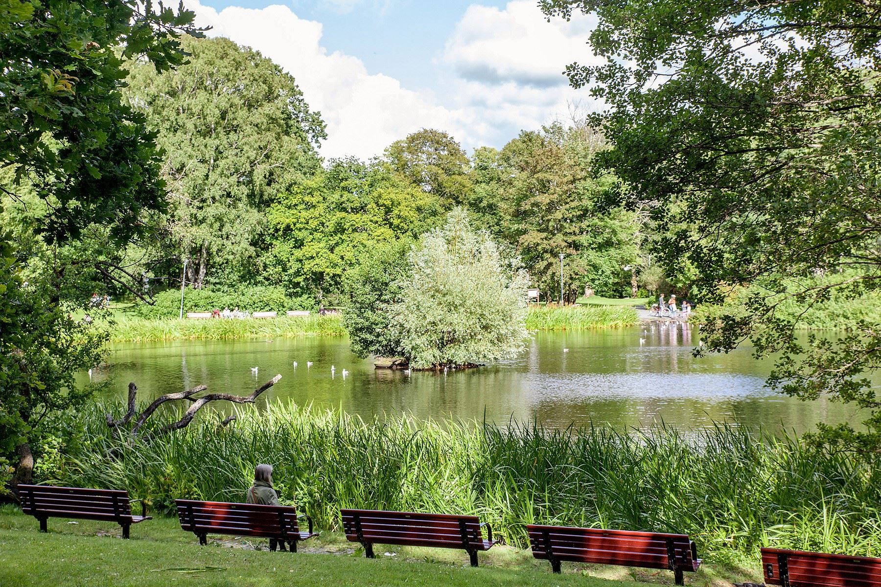 Härliga Slottsskogen finns i närheten